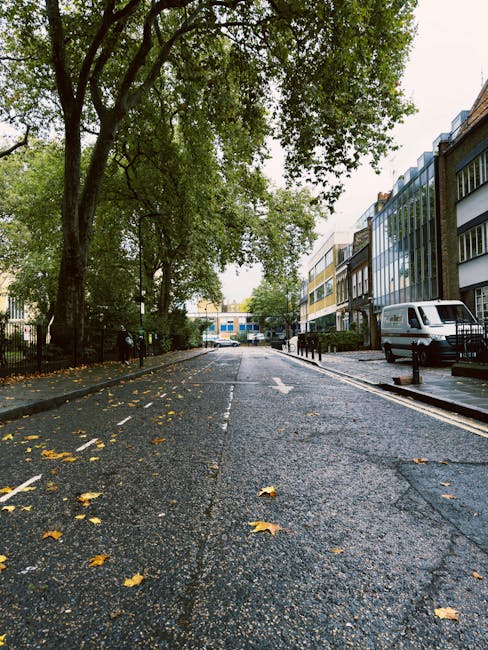A quiet residential street during daytime with a straight asphalt road lined with parked cars on both sides, including sedans, hatchbacks, and vans, some of which are partially covered with protective tarps or covers. The street is bordered by terraced houses with brick facades, small front gardens, and a mix of deciduous trees with green and reddish foliage. Overhead, there are visible utility wires stretching across the sky, which is partly cloudy with patches of blue. In the distance, a man from Man with Van Tottenham Hale, a professional removals company, is seen loading or unloading furniture and cardboard boxes from a van parked at the curb, indicating a home relocation or moving process is underway. The overall scene captures the typical environment for furniture transport and packing during house removals in Tottenham Hale.